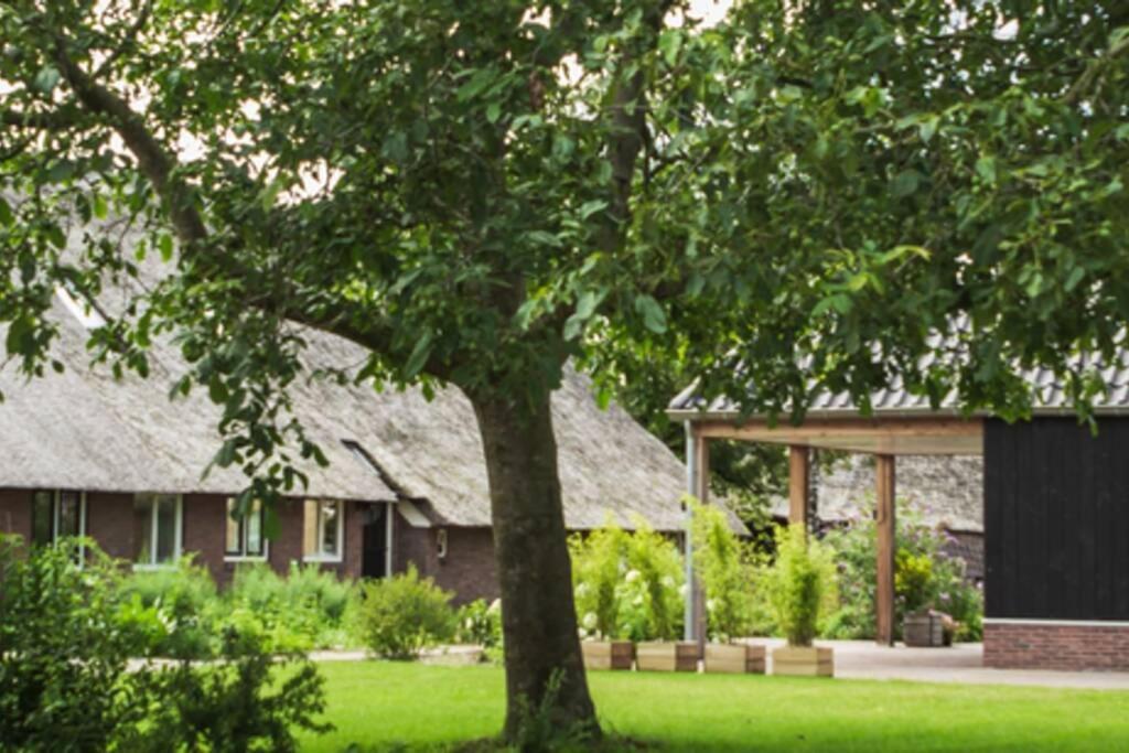 Ermerhoek, In De Hof Екстер'єр фото